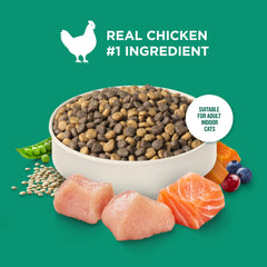 Nutrish chat mange dans une assiette illustrant acceptation et saveur au poulet