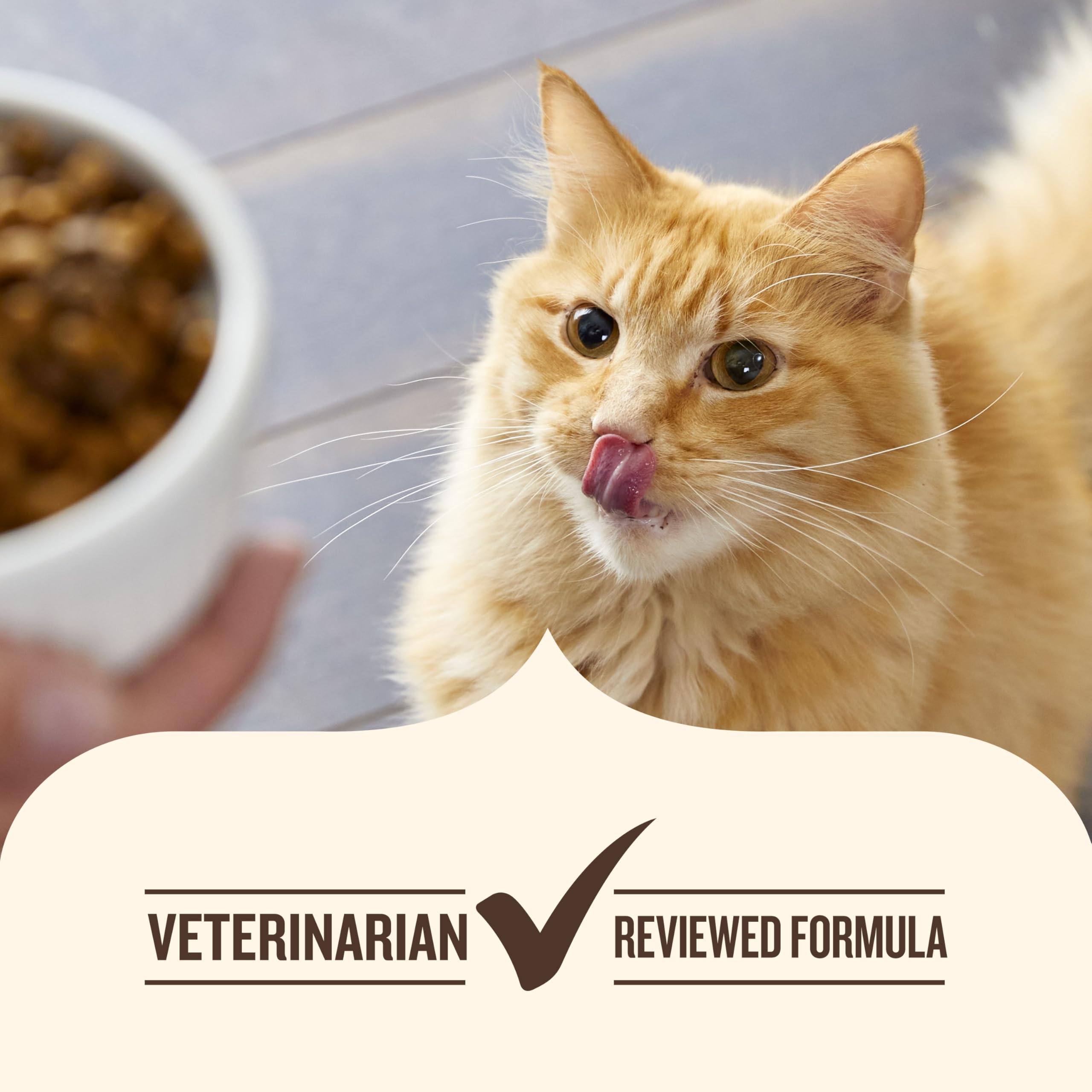 Nutrish chat qui mange satisfait montrant énergie et bien-être