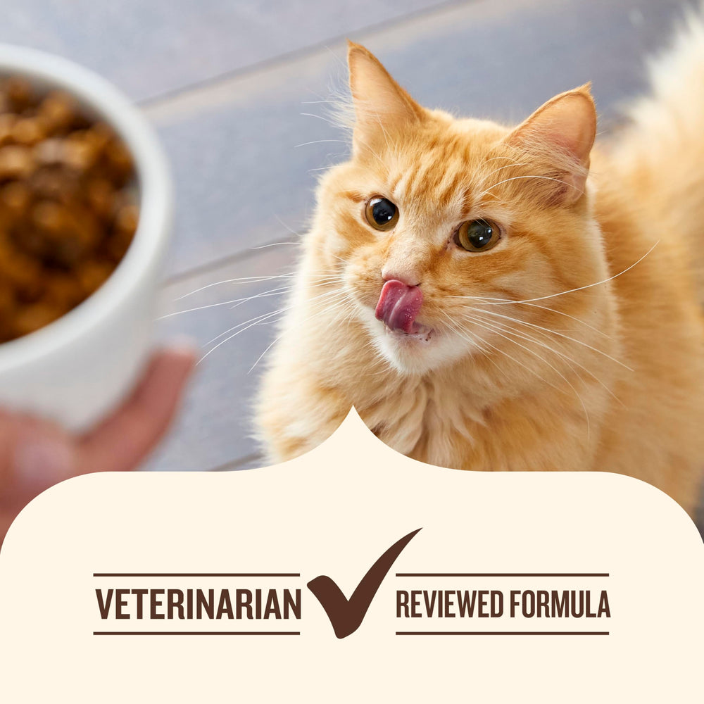 Nutrish chat qui mange satisfait montrant énergie et bien-être