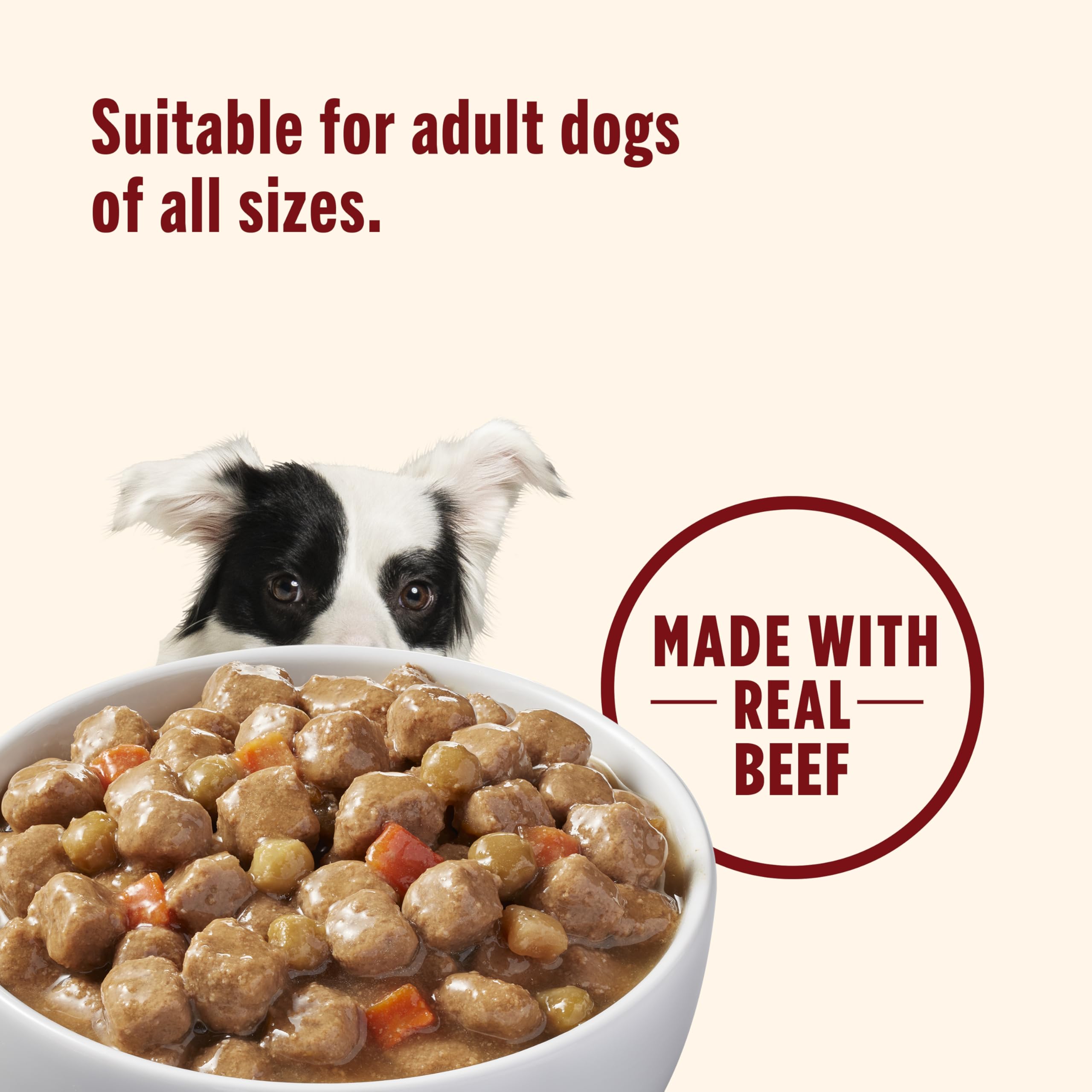 Nutrish chien mangeant dans une assiette montrant acceptation et plaisir gustatif