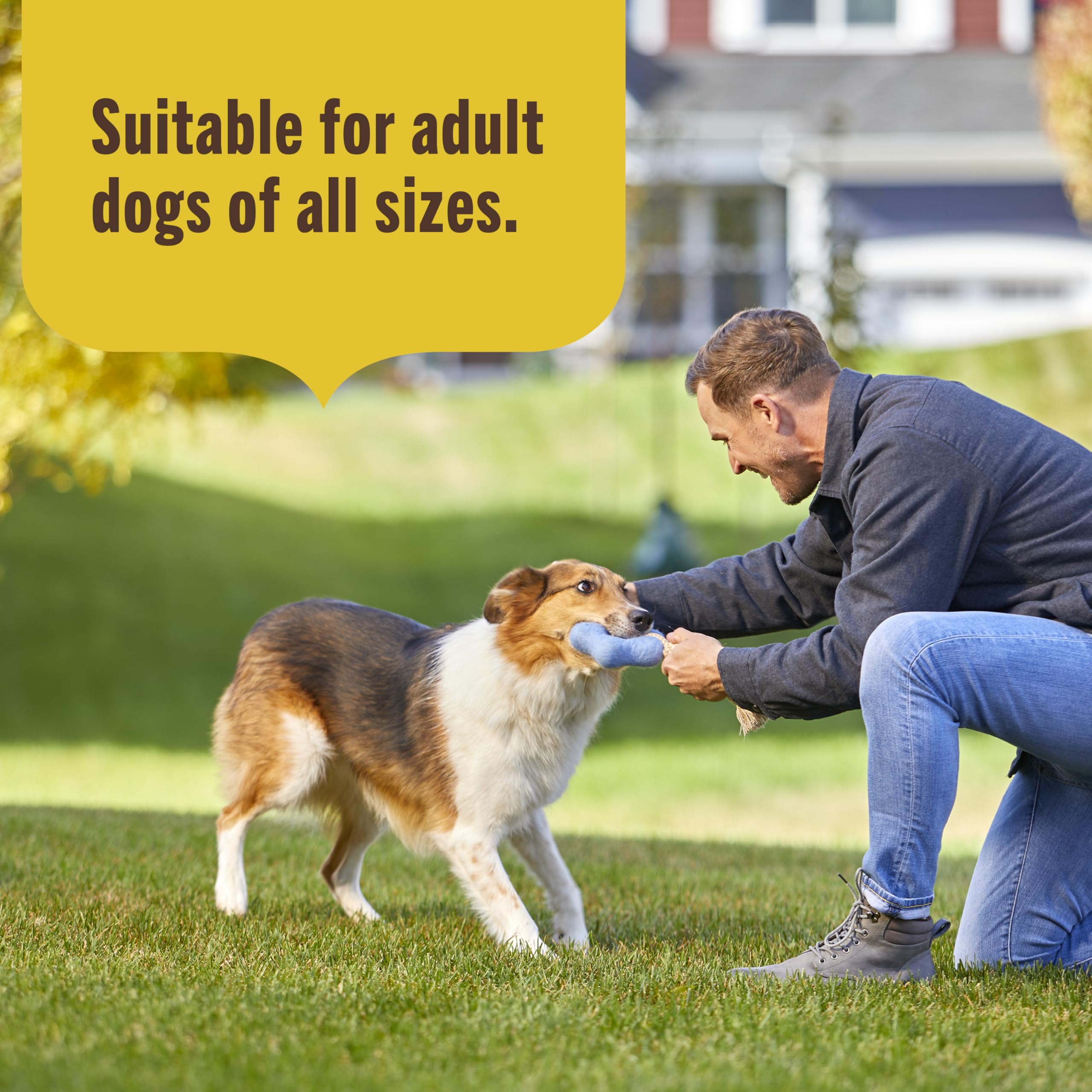 Nutrish chien mange dans sa gamelle illustrant appétence et satisfaction