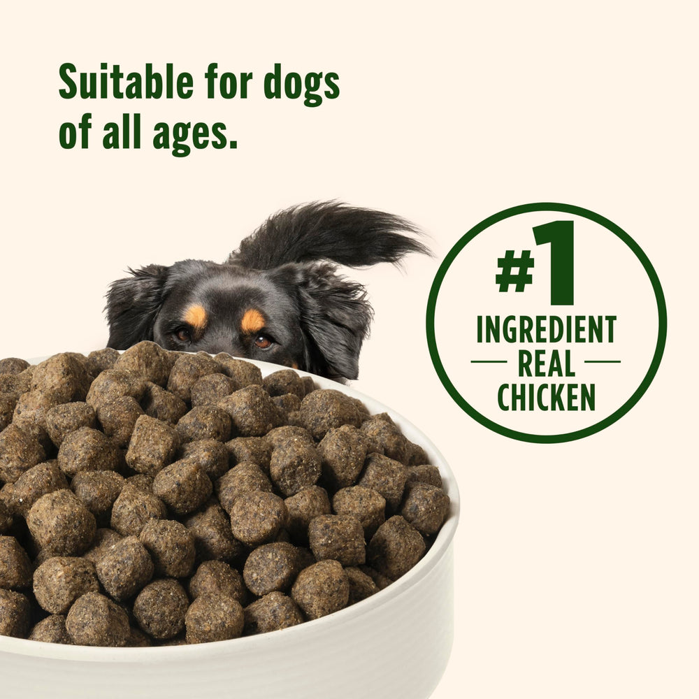 nutrish comparaison d’échelle des croquettes pour visualiser la taille
