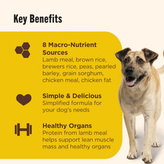 Nutrish comparaison taille croquette pour visualiser portion et adaptation au chien
