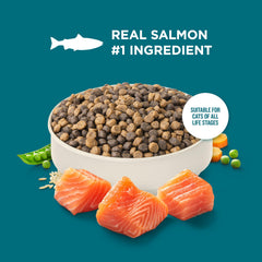 Nutrish main versant croquettes dans un bol pour facilité de service