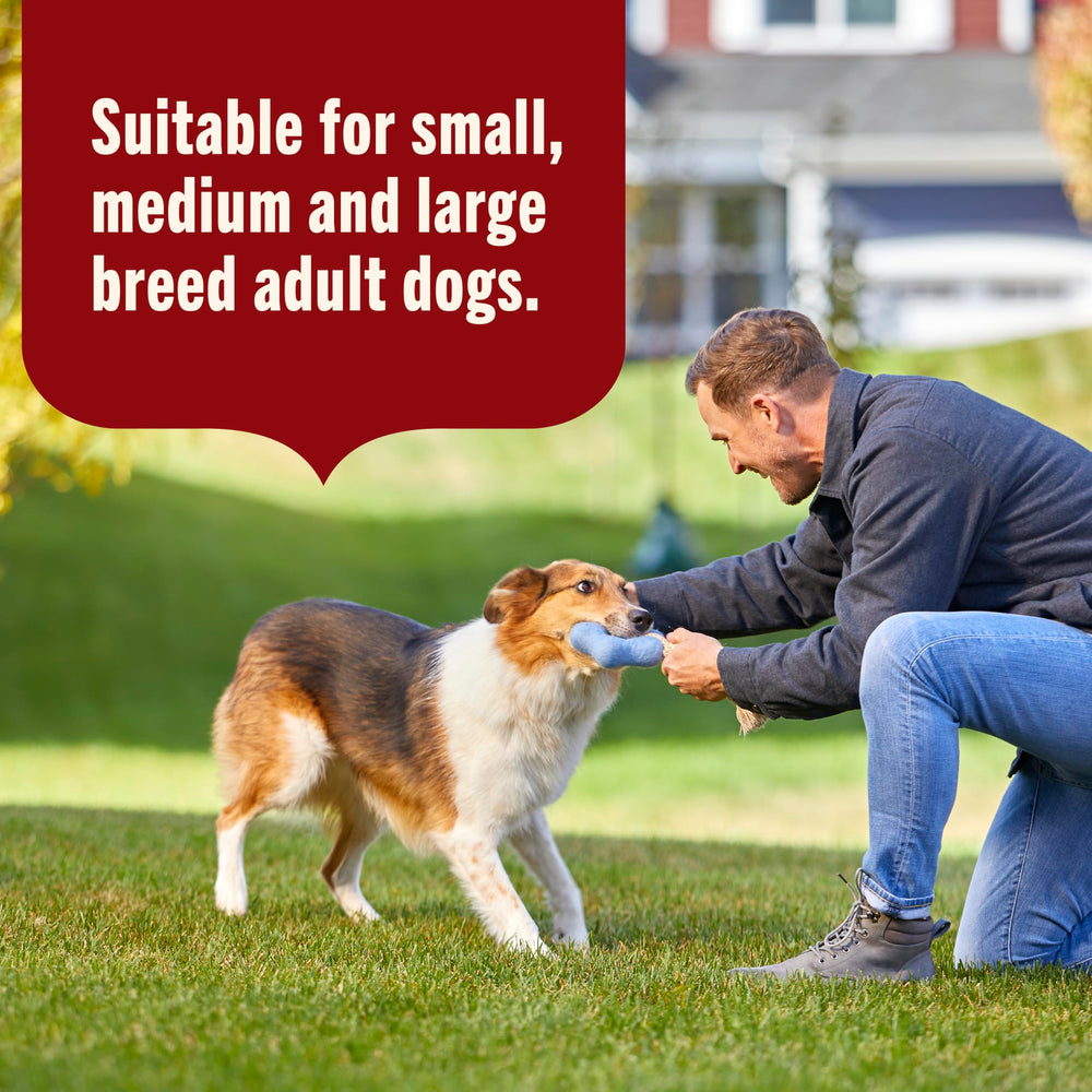 Nutrish portion déposée sur croquettes pour améliorer l’appétence du chien