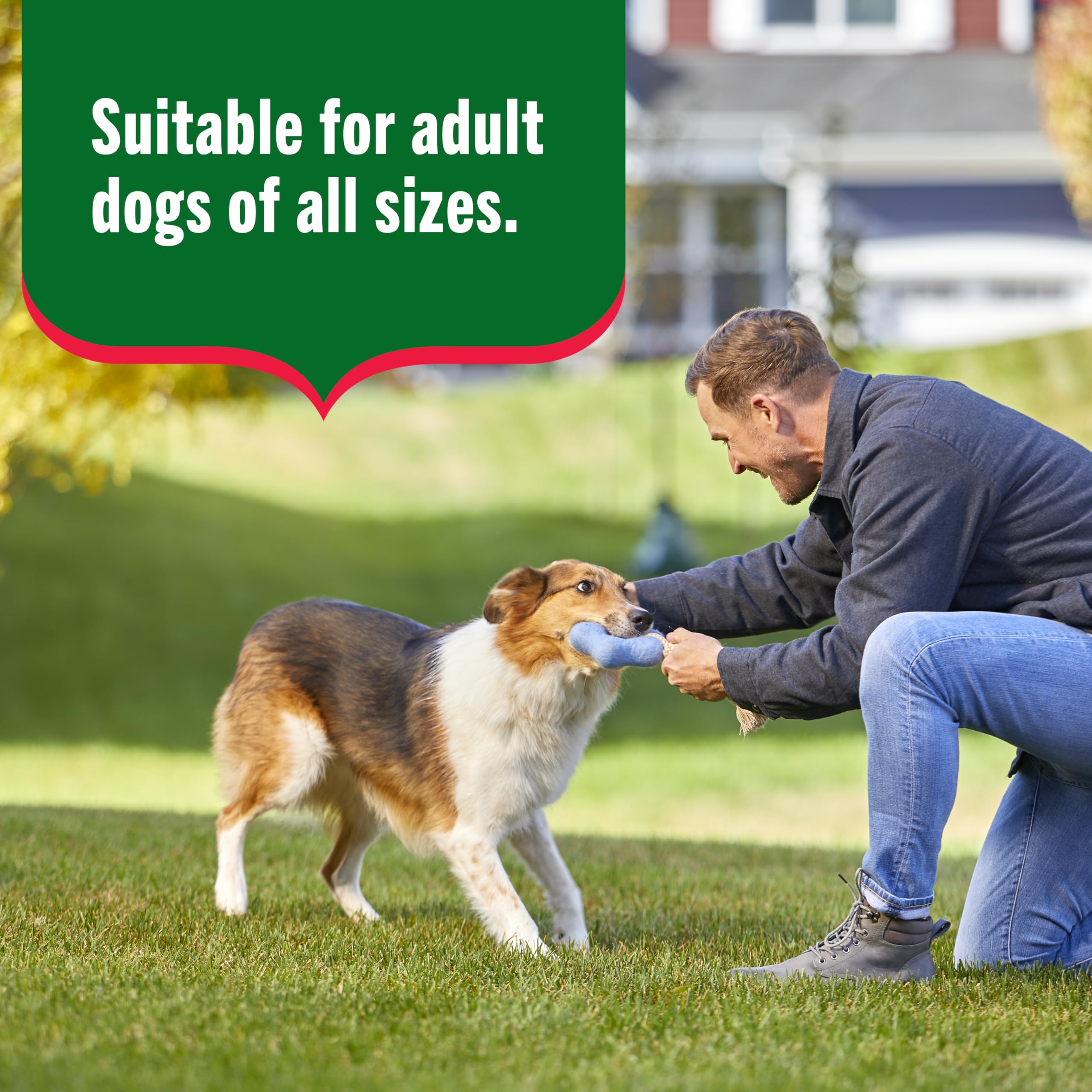 Nutrish boîte ouverte servie dans une gamelle illustrant appétence pour chien