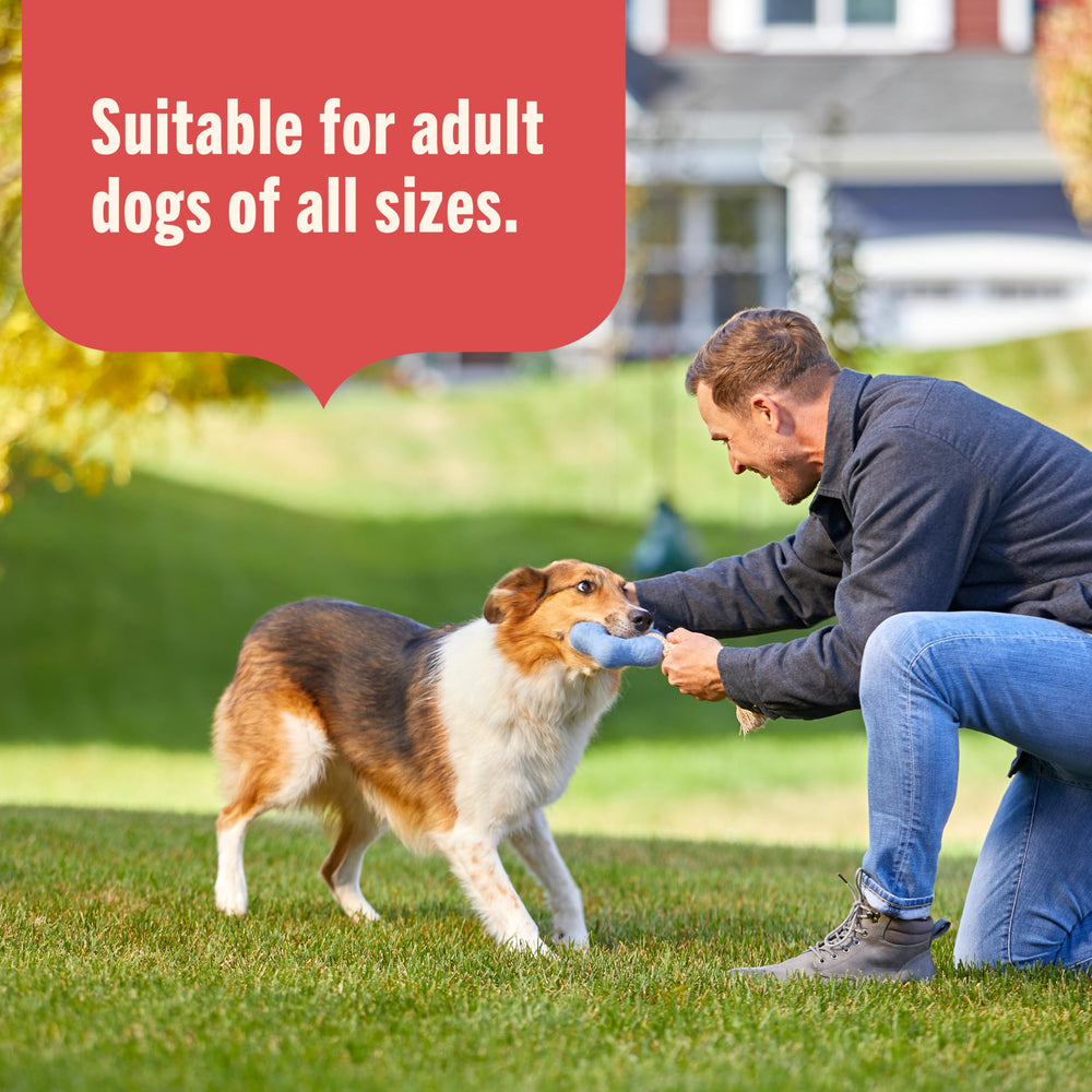 Nutrish chien mange la pâtée montrant acceptation et plaisir alimentaire