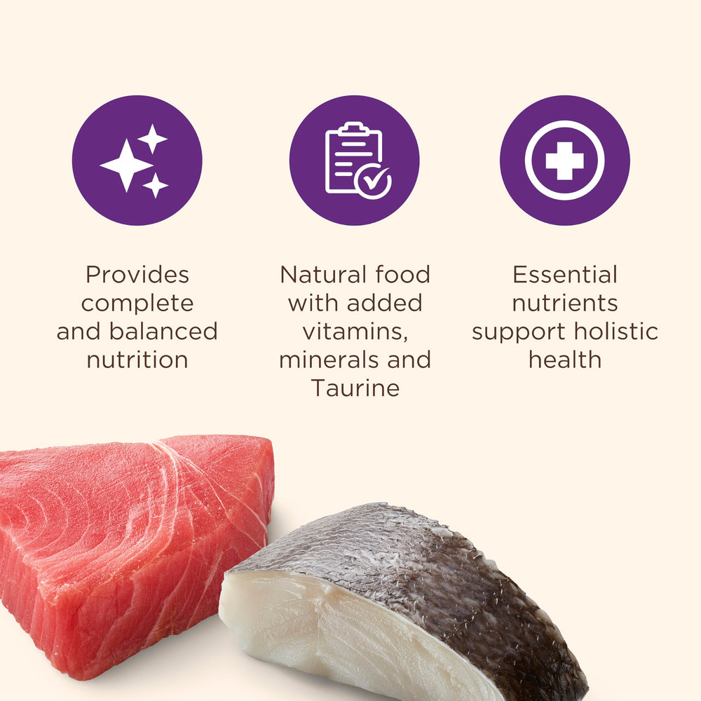 Nutrish portion servie dans un bol, facilite le repas quotidien