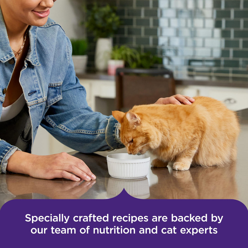 Nutrish assiette servie près d’un chat encourageant l’alimentation