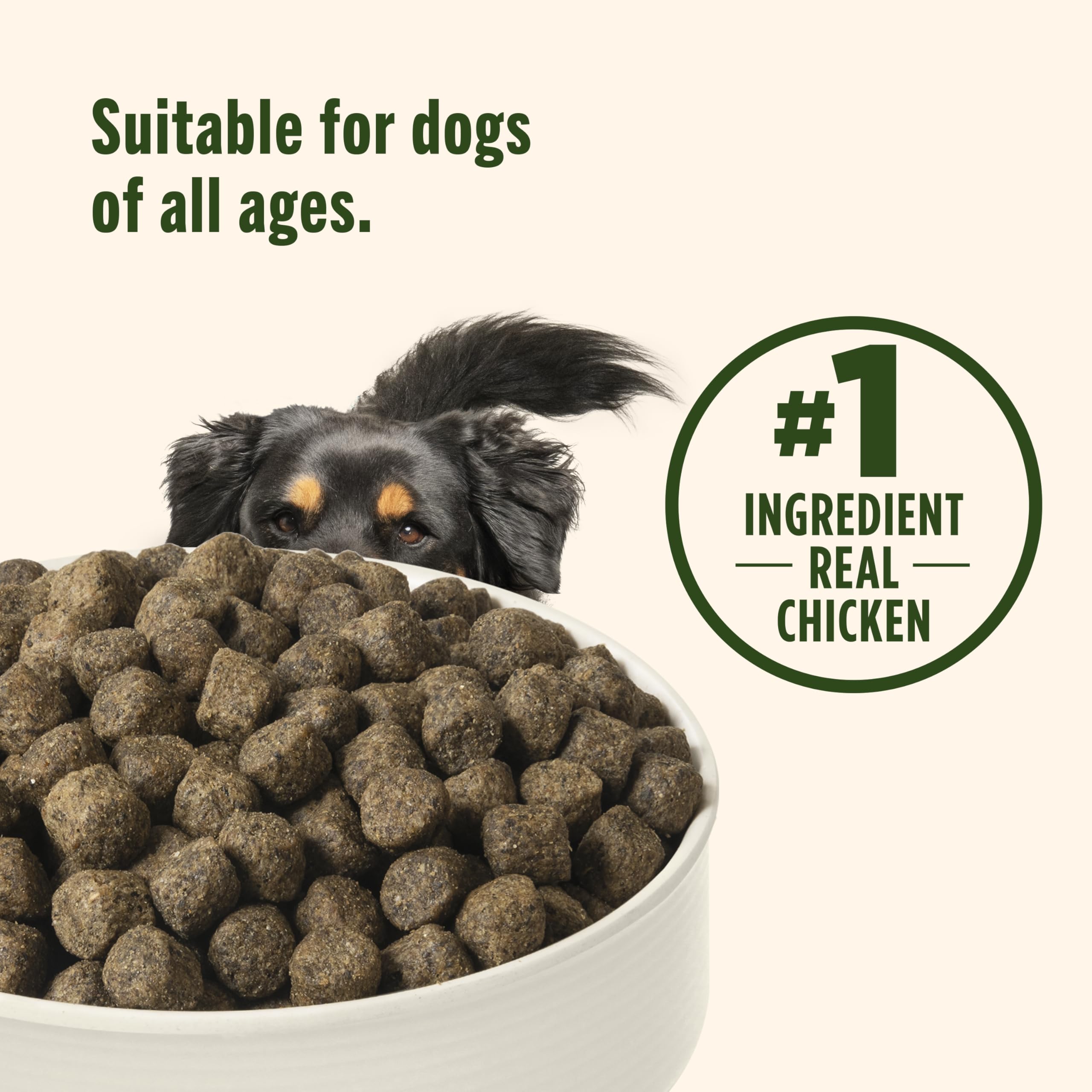 Nutrish sac ouvert révélant croquettes, conservation pratique et appétence