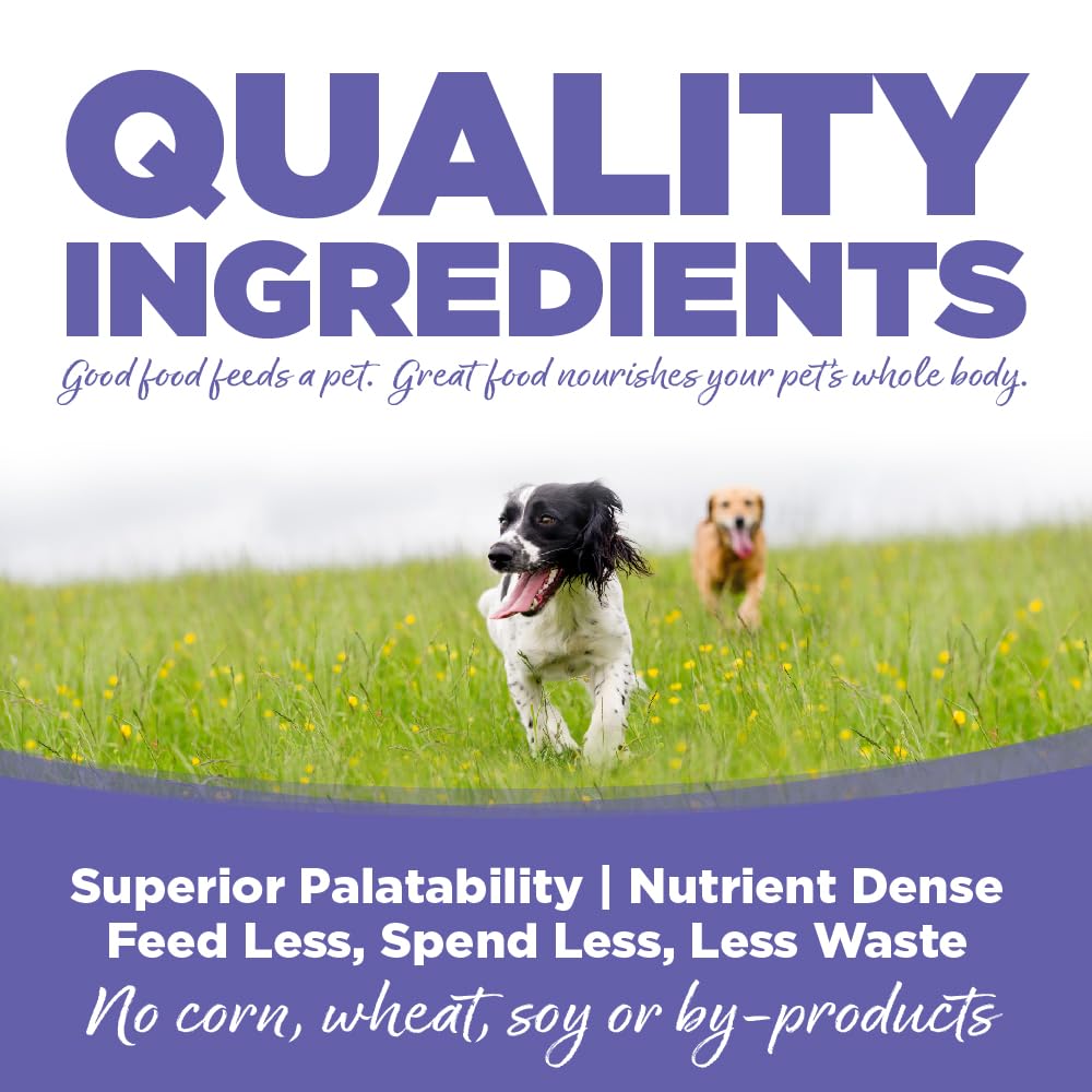 NutriSource bol servi en extérieur, chiot mangeant, bénéfice hydratation accrue