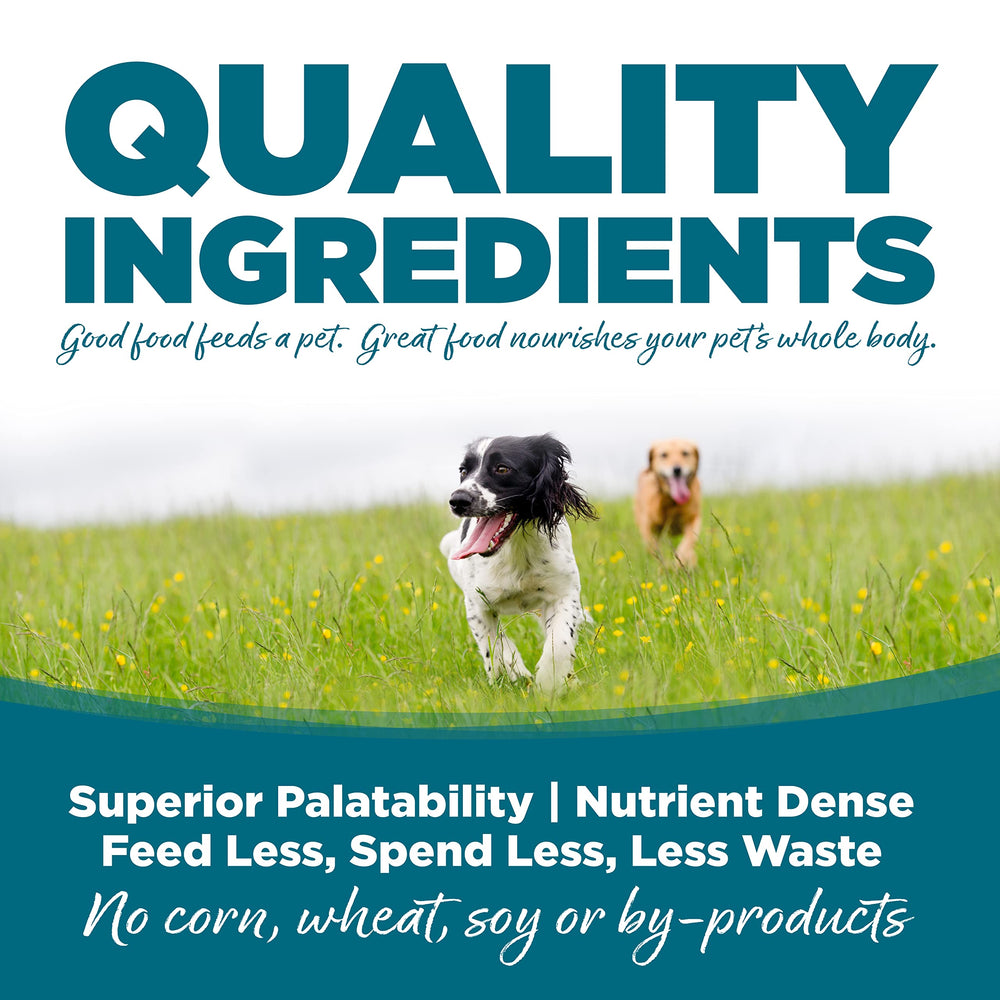 NutriSource chiot mangeant dans une assiette pour énergie et croissance saine