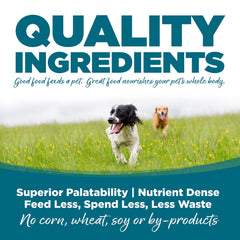 NutriSource chiot mangeant dans une assiette pour énergie et croissance saine