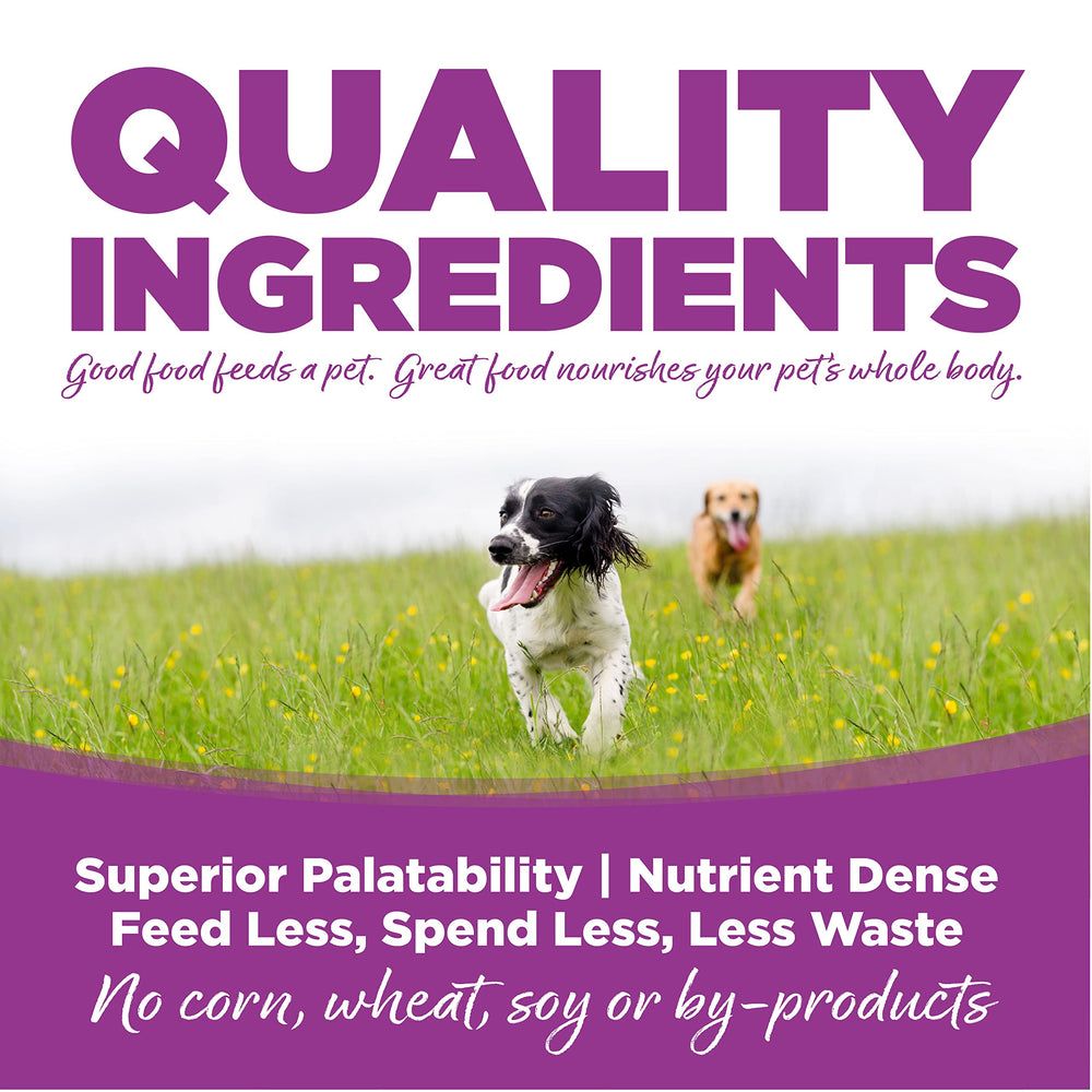 NutriSource chiot mangeant au bol montrant appétence et énergie