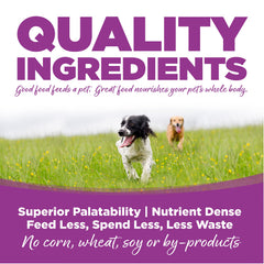 NutriSource chiot mangeant au bol montrant appétence et énergie