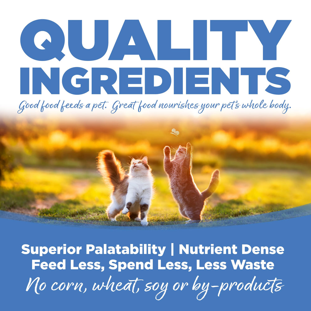 NutriSource main tenant croquette pour montrer taille adaptée et facilité de mastication