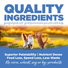 NutriSource main tenant croquette pour montrer taille adaptée et facilité de mastication