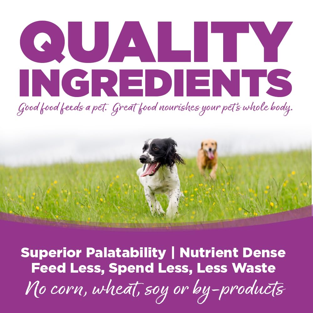 NutriSource pâtée mélangée aux croquettes, augmente hydratation et goût