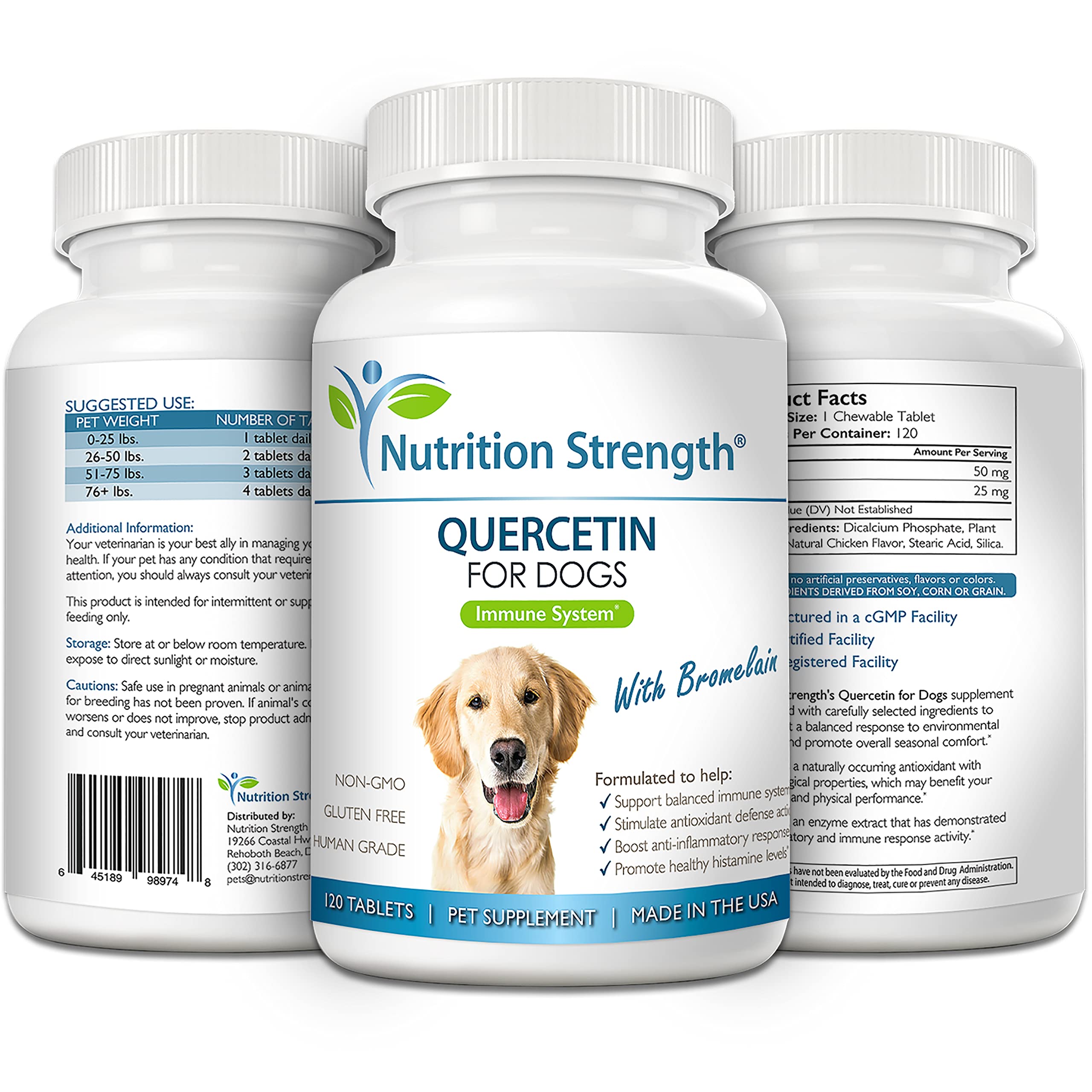 Nutrition Strength administration au chien montrant acceptation comme friandise