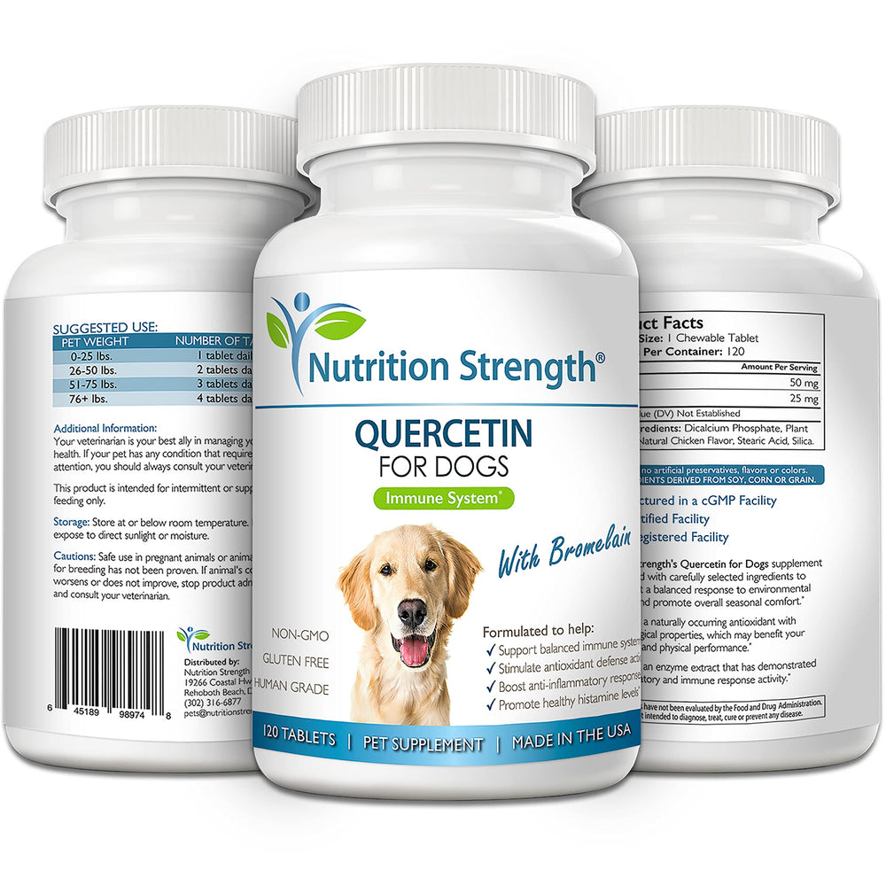 Nutrition Strength administration au chien montrant acceptation comme friandise