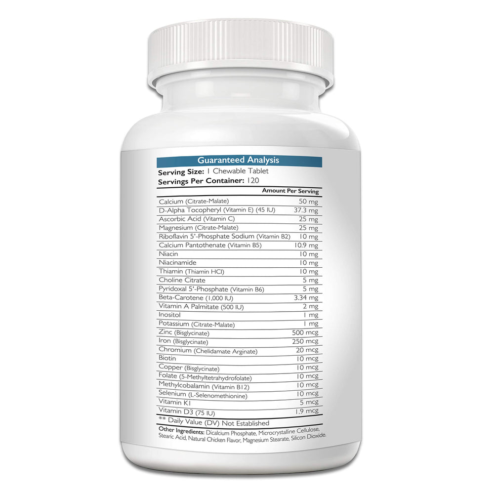 Nutrition Strength chien jouant en extérieur représentant vitalité et bien-être général