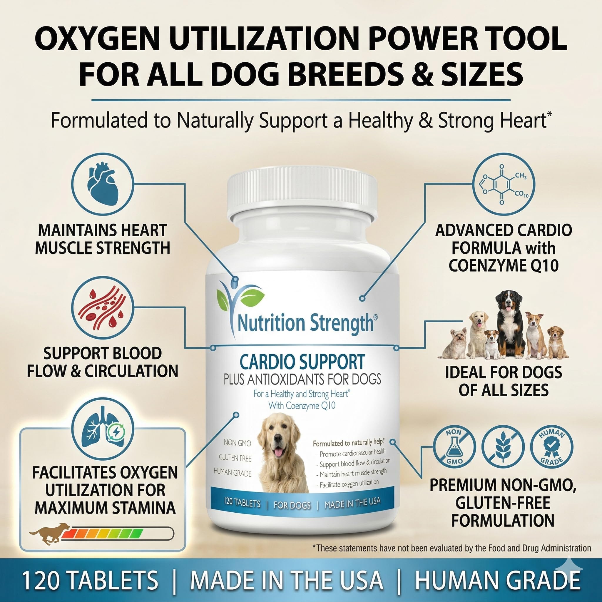 Nutrition Strength chien prenant comprimé, facilité d’administration quotidienne
