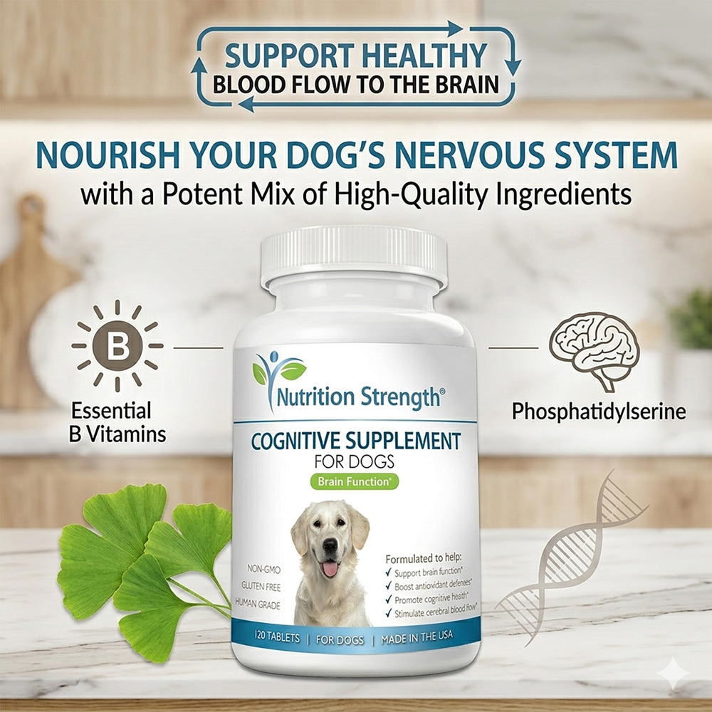 Nutrition Strength chien mange le comprimé, facilite la prise quotidienne