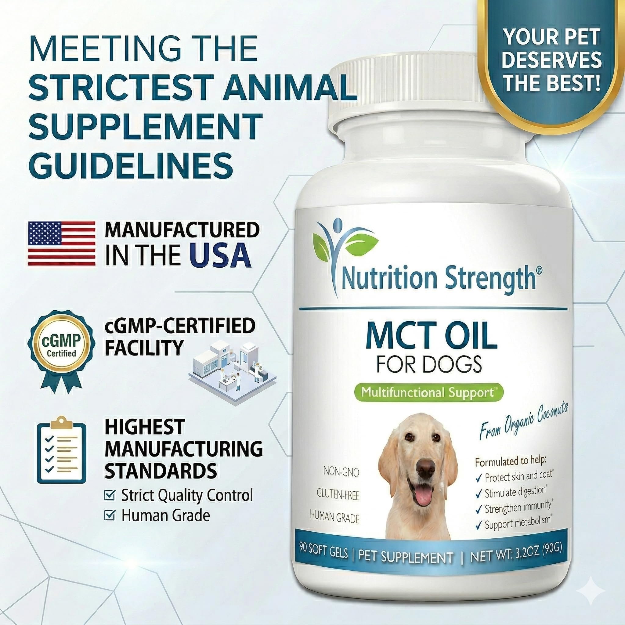 Nutrition Strength chien au pelage brillant illustrant amélioration visuelle du poil