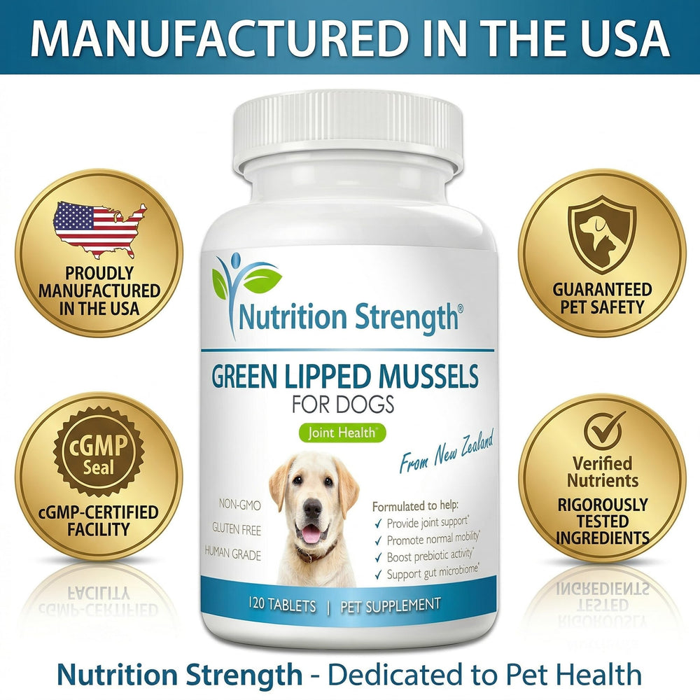 Nutrition Strength chien acceptant un comprimé comme friandise