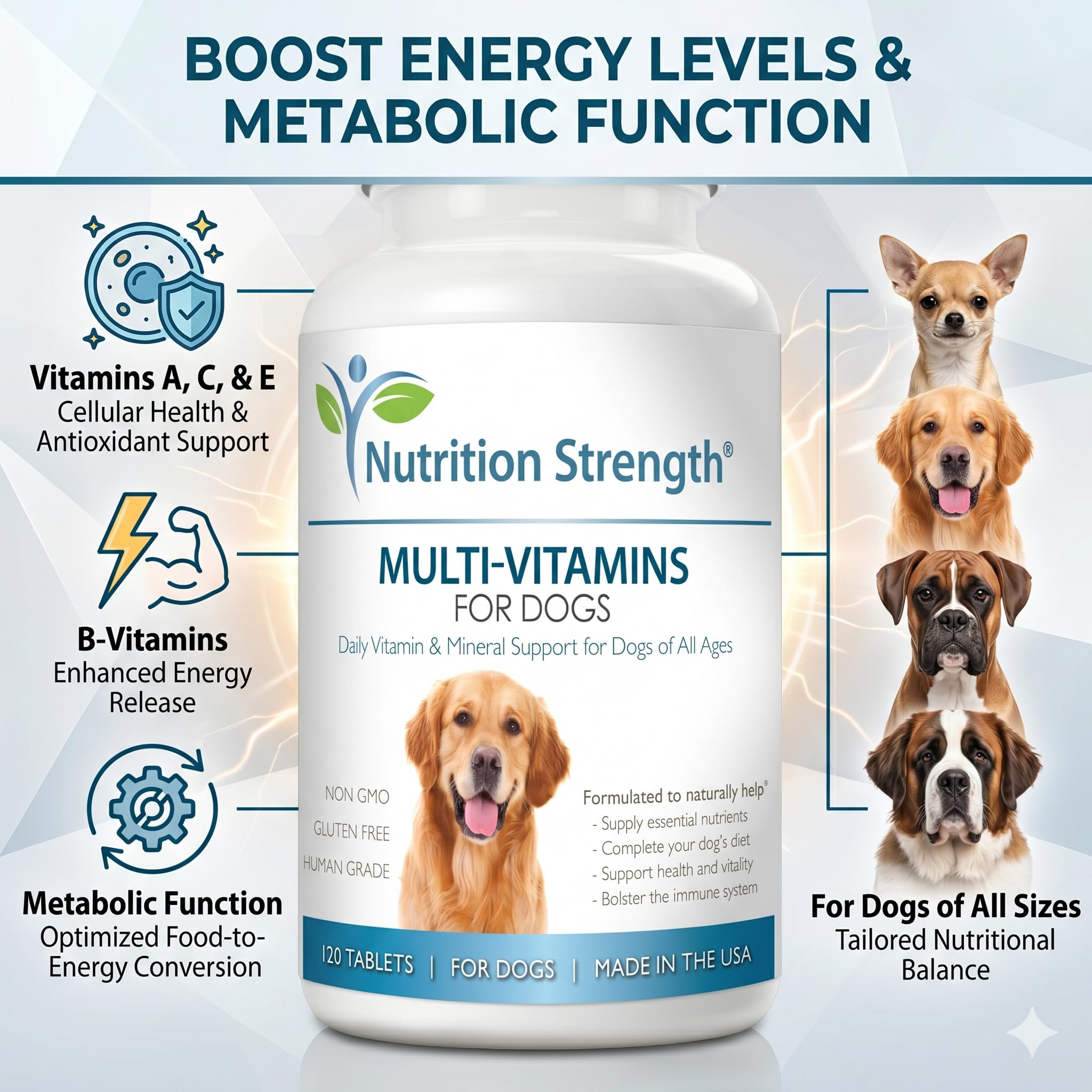 Nutrition Strength comprimé à côté d'une pièce pour comparer taille et portion
