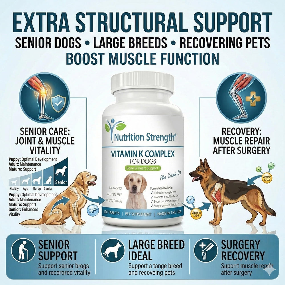 Nutrition Strength comprimé dans la paume pour visualiser la taille et faciliter le dosage