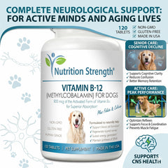 Nutrition Strength comprimé gros plan illustrant texture et appétence pour chien