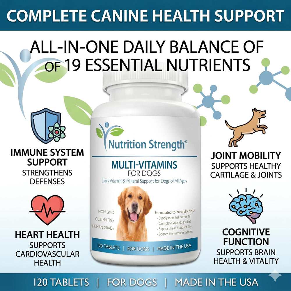 Nutrition Strength comprimé masticable en gros plan montrant forme et couleur appétente