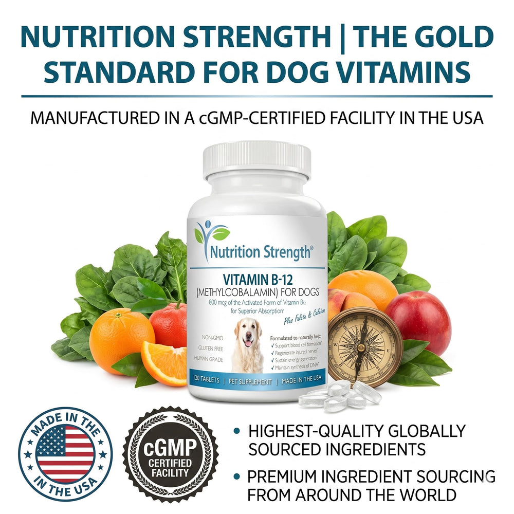 Nutrition Strength emballage arrière informations sur ingrédients et fabrication