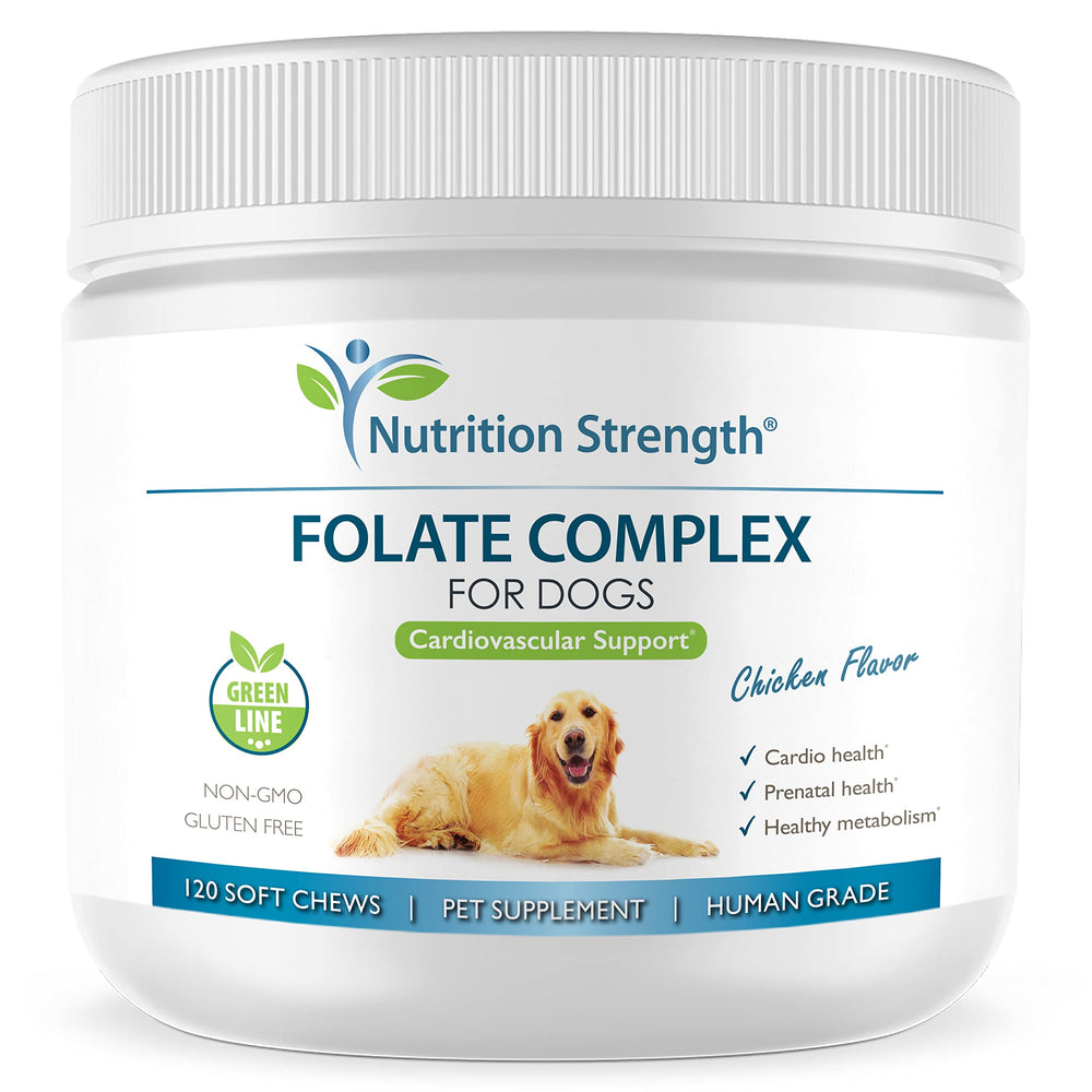Nutrition Strength emballage frontal des soft chews montrant 120 friandises, facile à ranger