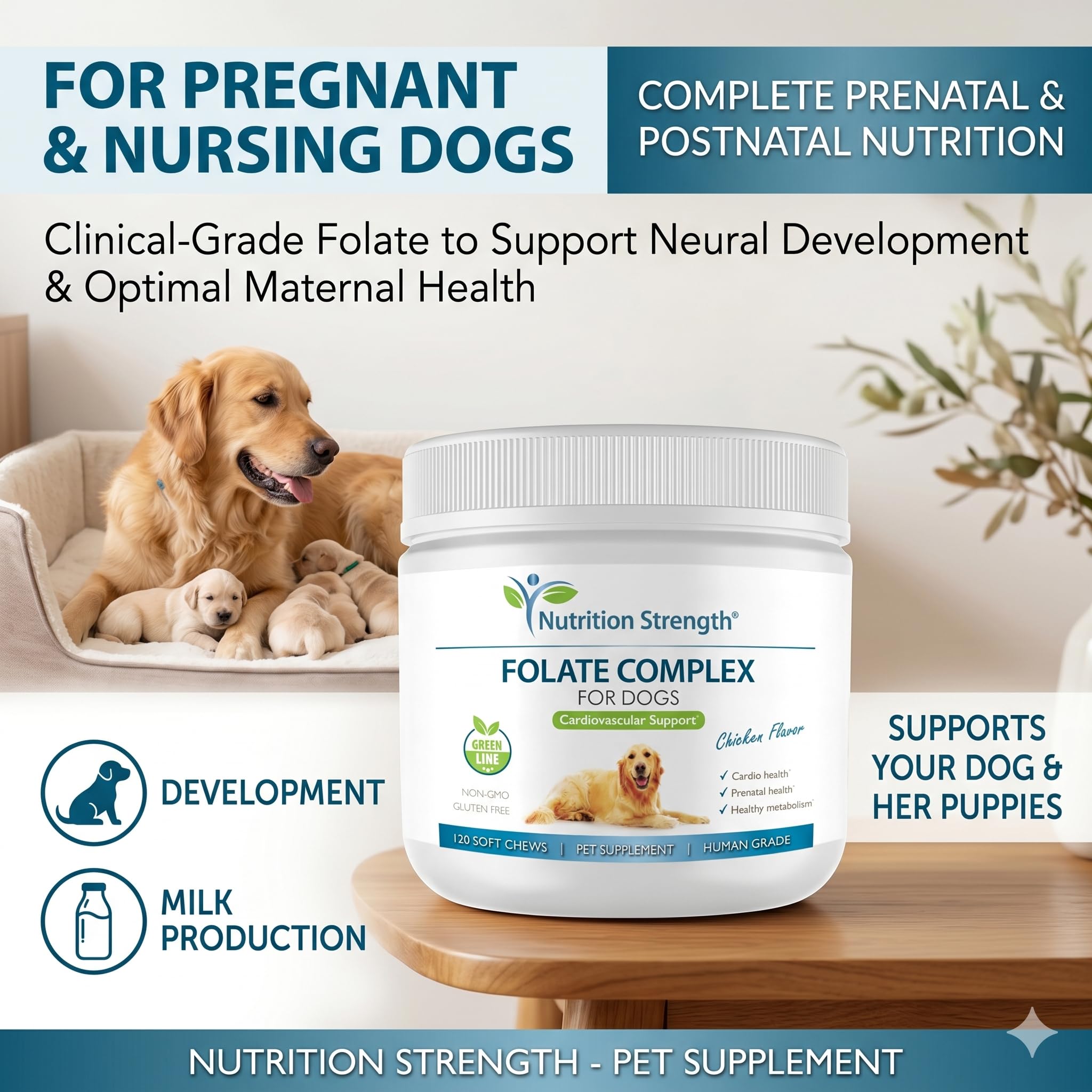 Nutrition Strength propriétaire donnant une friandise à son chien, administration aisée