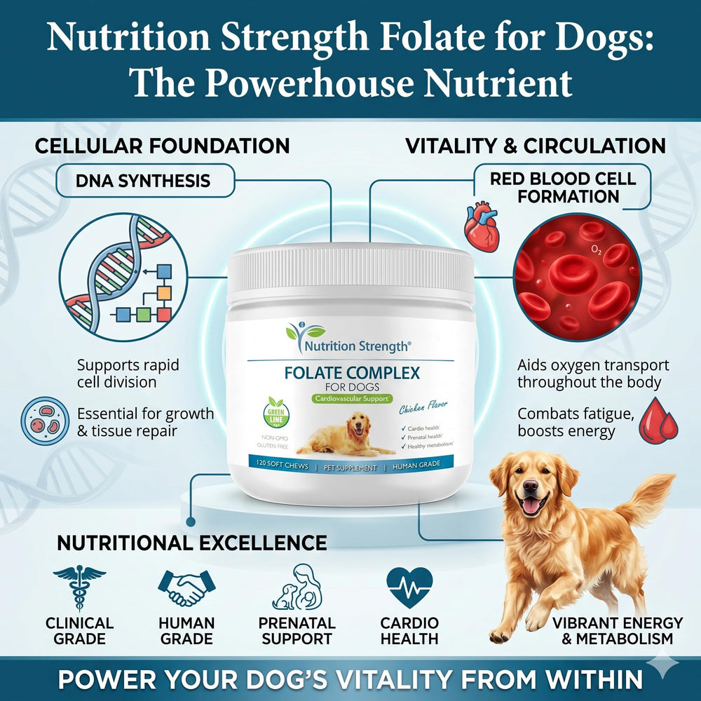Nutrition Strength gros plan sur une friandise molle, appétence visible pour administration simple