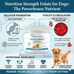 Nutrition Strength gros plan sur une friandise molle, appétence visible pour administration simple