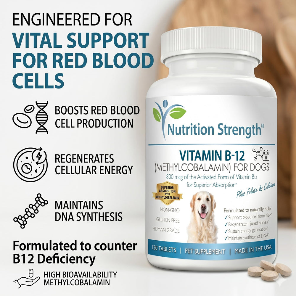 Nutrition Strength methylcobalamine focus sur ingrédient actif bénéfique au métabolisme