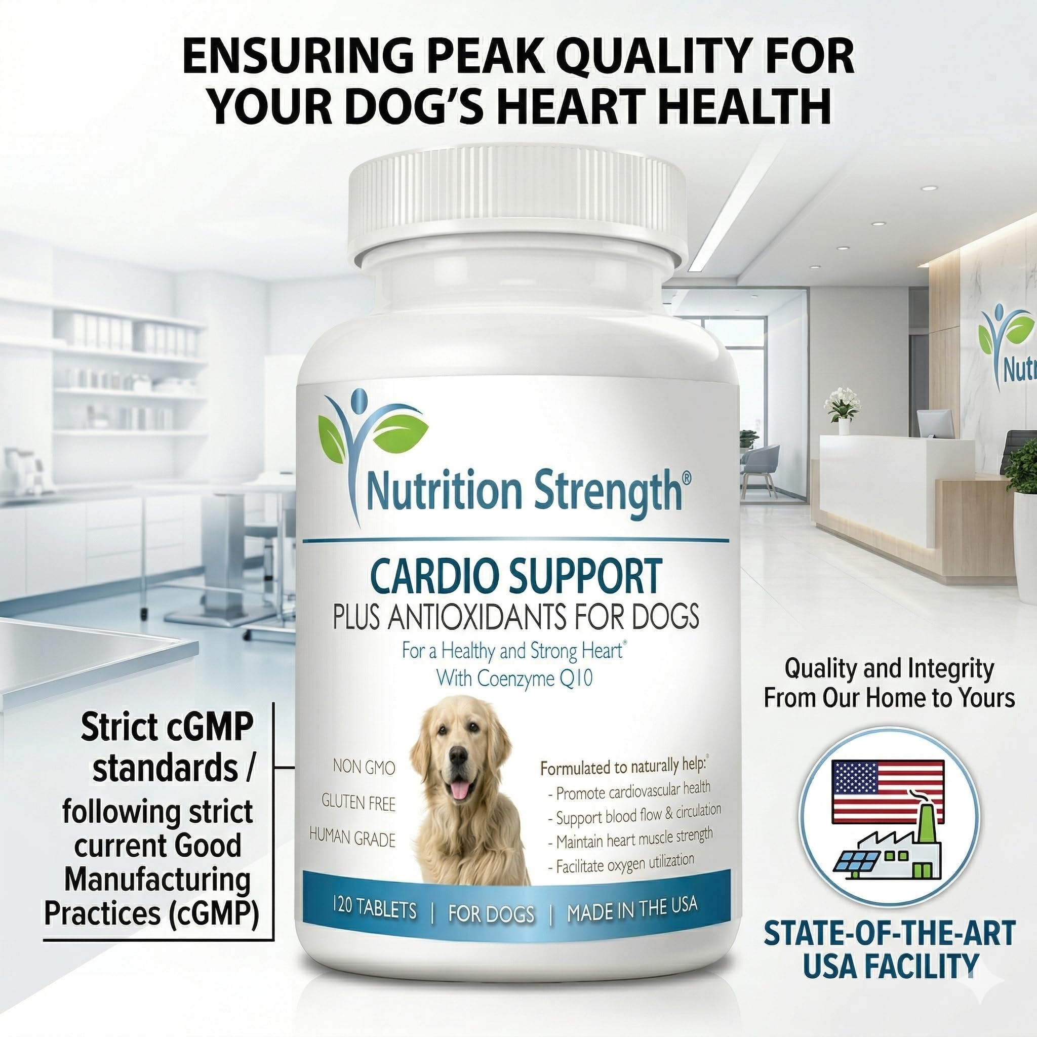 Nutrition Strength représentation des ingrédients actifs, soutien énergétique