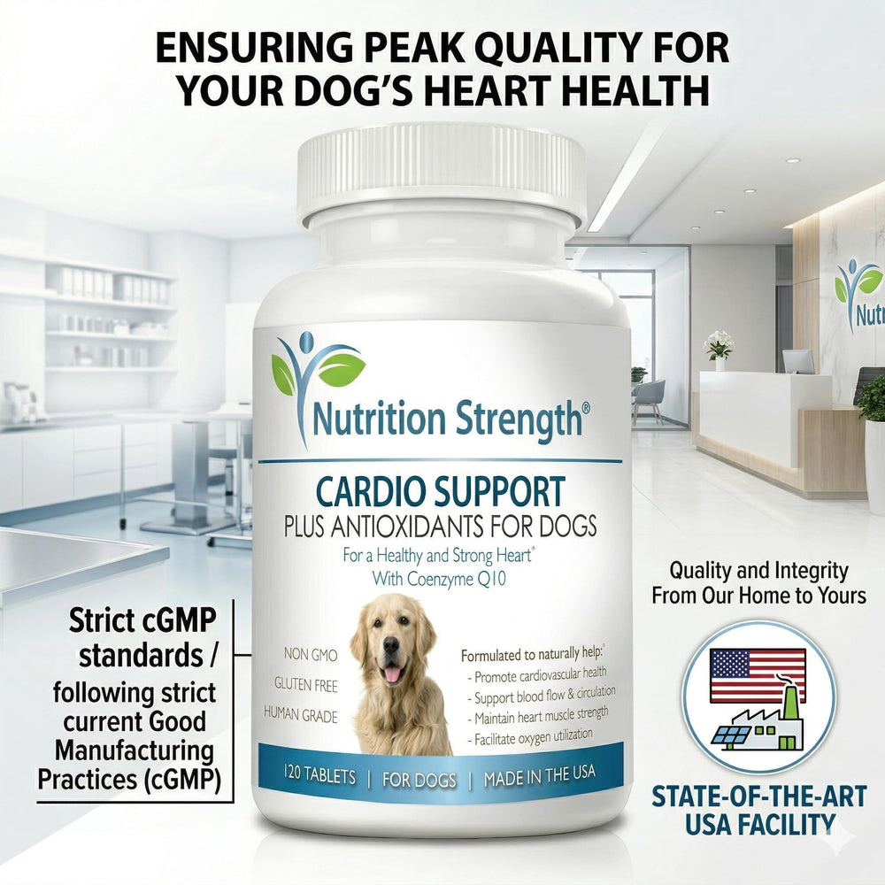 Nutrition Strength représentation des ingrédients actifs, soutien énergétique