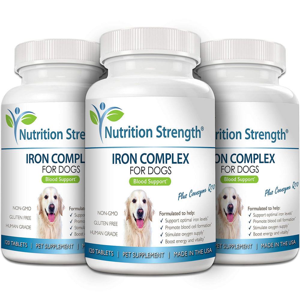 Chien acceptant un comprimé Nutrition Strength pour faciliter la supplémentation