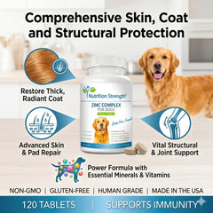 Nutrition Strength chien mange comprimé démontrant facilité d'administration