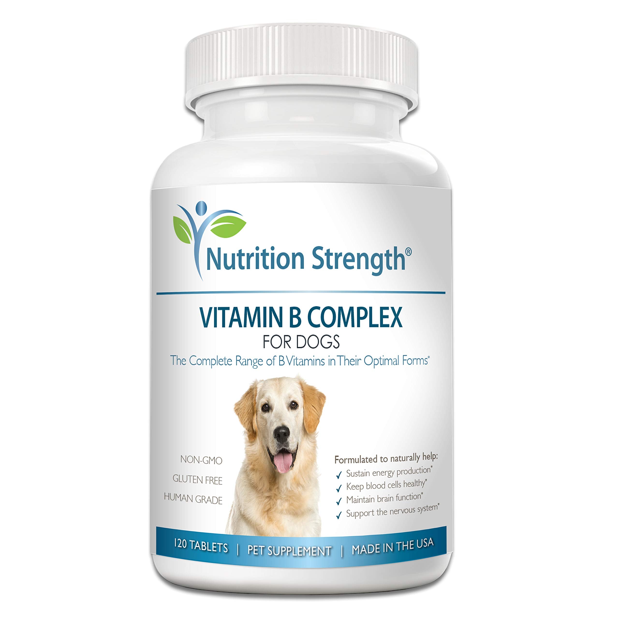 Nutrition Strength pot avant montrant l'étiquette et bénéfice complément B