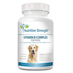 Nutrition Strength pot avant montrant l'étiquette et bénéfice complément B