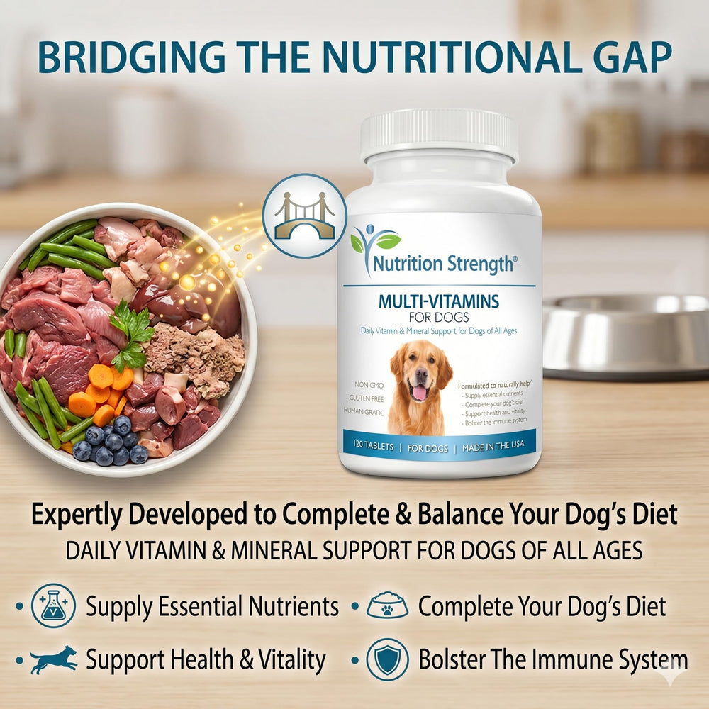 Nutrition Strength texture du comprimé vue rapprochée indiquant qualité et pureté