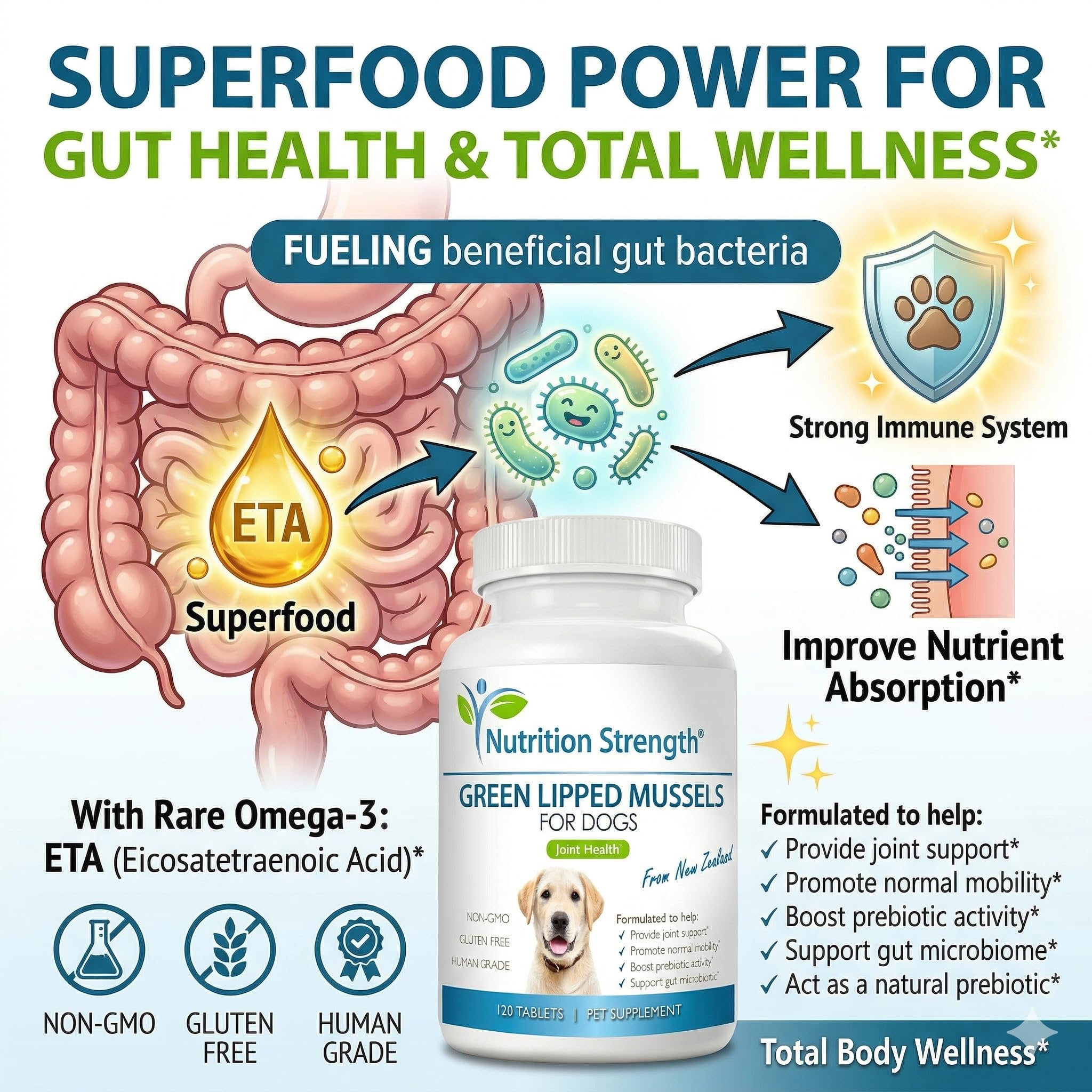 Nutrition Strength comprimés dans la main pour visualiser dosage
