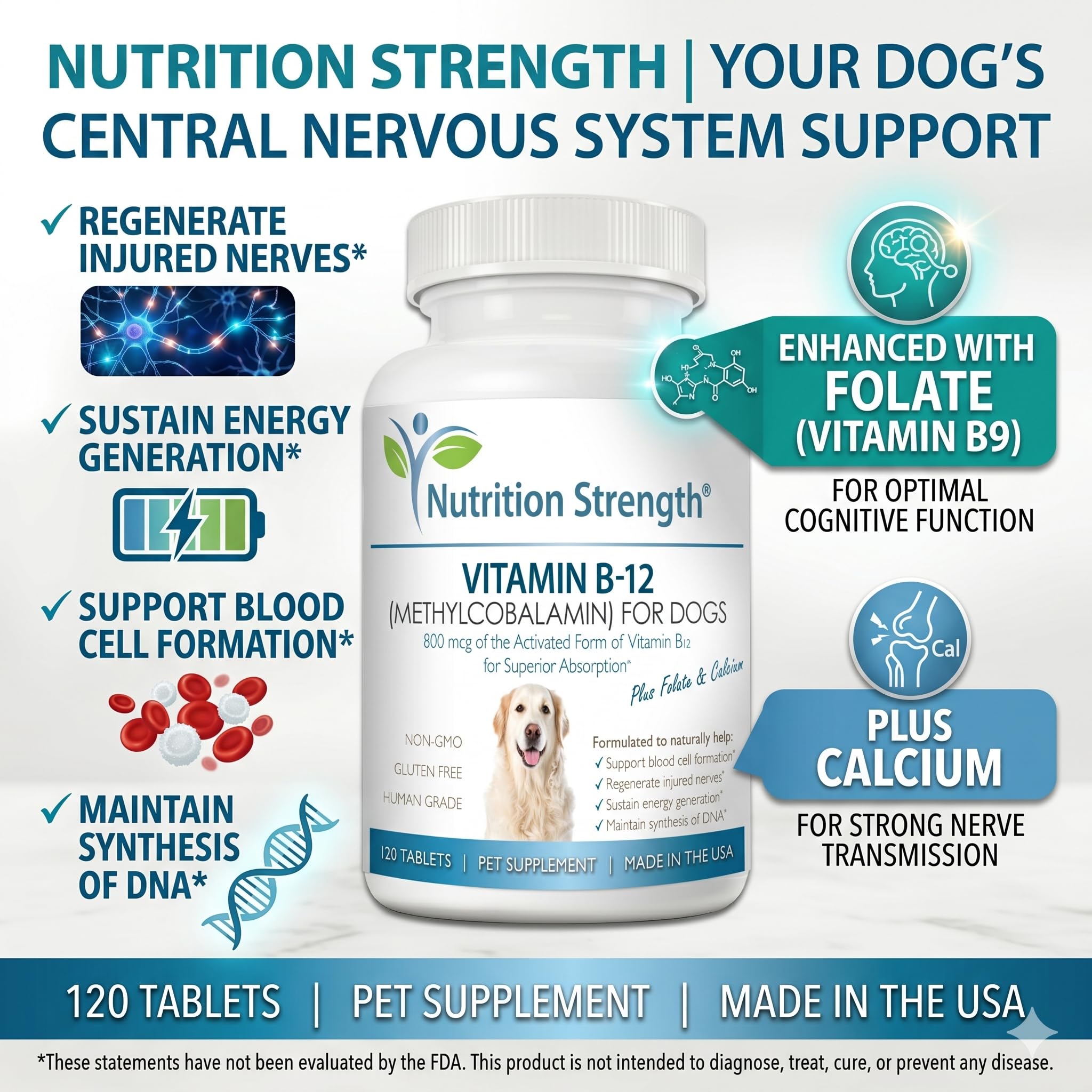 Nutrition Strength tablettes dans la main pour visualiser taille et usage pratique