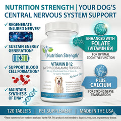 Nutrition Strength tablettes dans la main pour visualiser taille et usage pratique