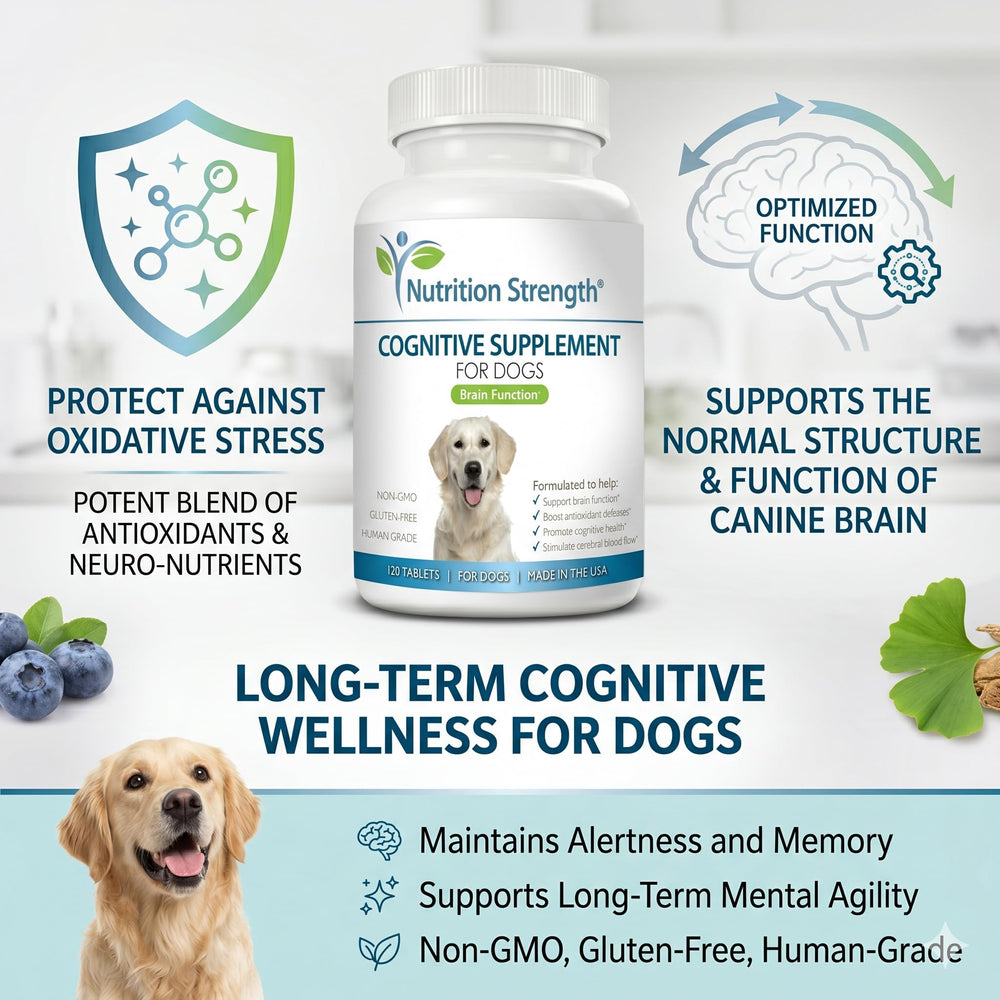 Nutrition Strength texture du comprimé mettant en valeur absorption et qualité